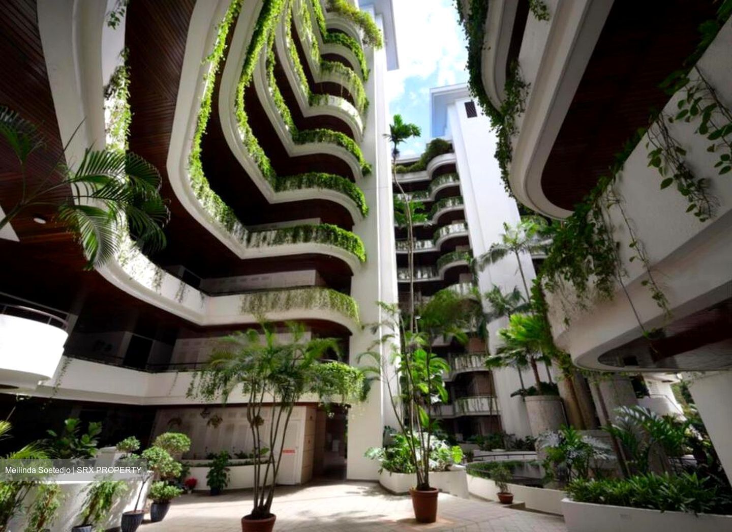 The Arcadia (D11), Condominium #471705261